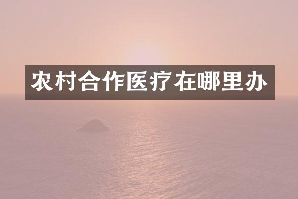 农村合作医疗在哪里办
