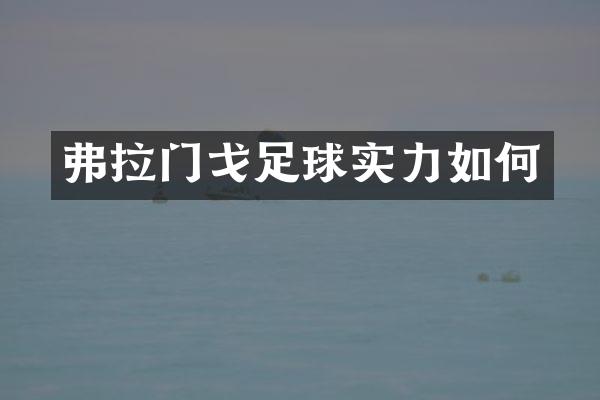 弗拉门戈足球实力如何