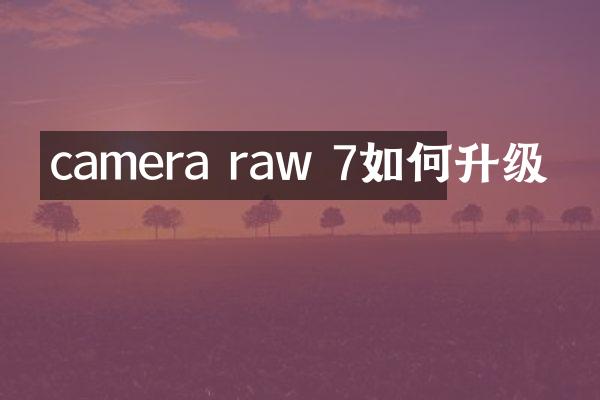 camera raw 7如何升级
