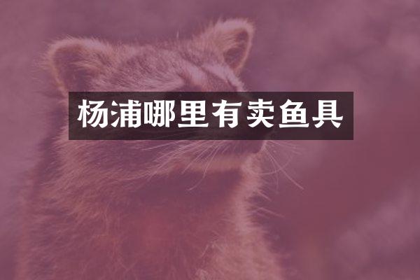 杨浦哪里有卖鱼具