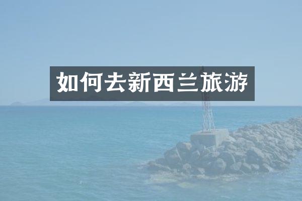 如何去新西兰旅游
