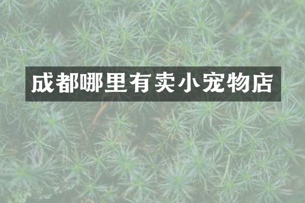 成都哪里有卖小宠物店