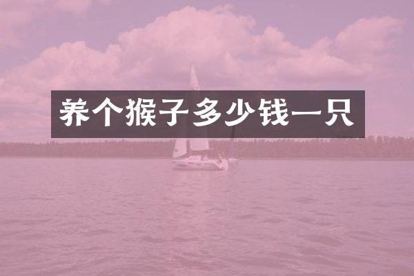 养个猴子多少钱一只