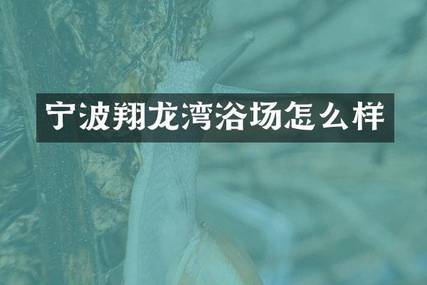 宁波翔龙湾浴场怎么样