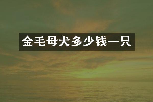 金毛母犬多少钱一只