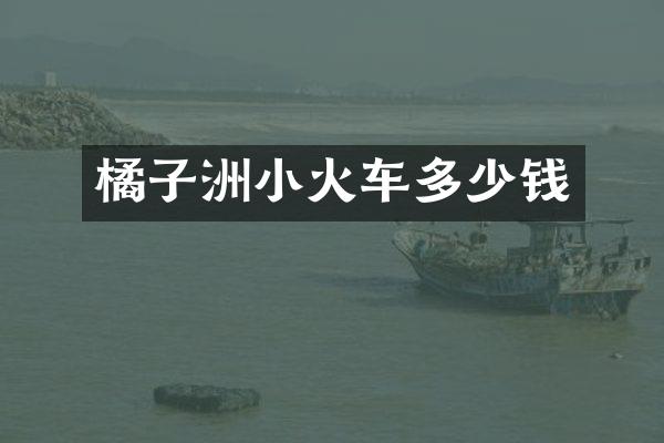 橘子洲小火车多少钱