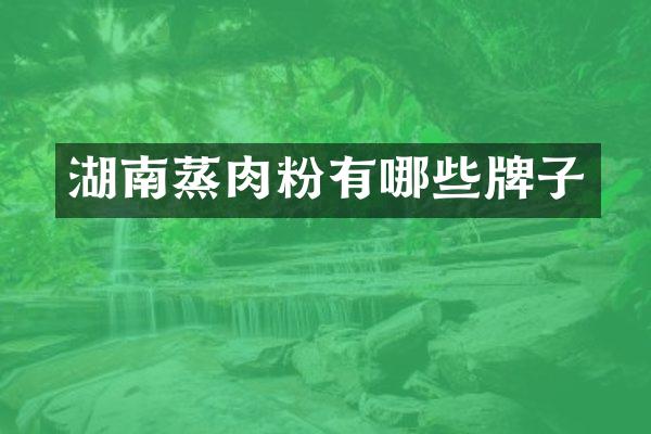 湖南蒸肉粉有哪些牌子