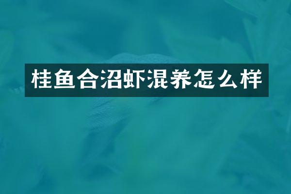 桂鱼合沼虾混养怎么样