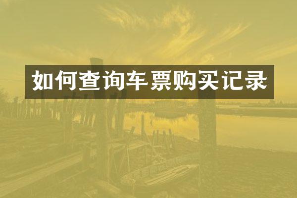 如何查询车票购买记录
