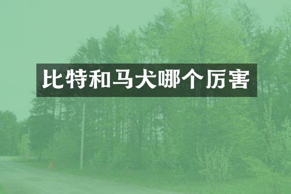 比特和马犬哪个厉害