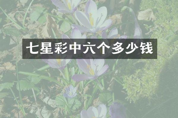 七星彩中六个多少钱