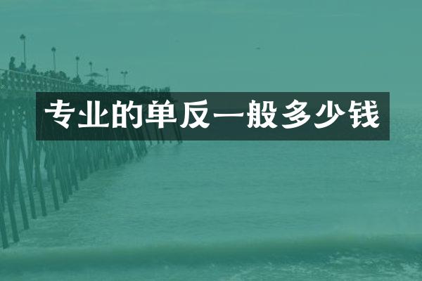 专业的单反一般多少钱