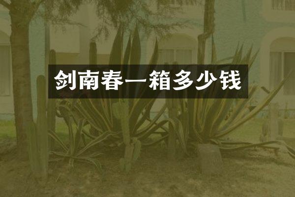 剑南春一箱多少钱