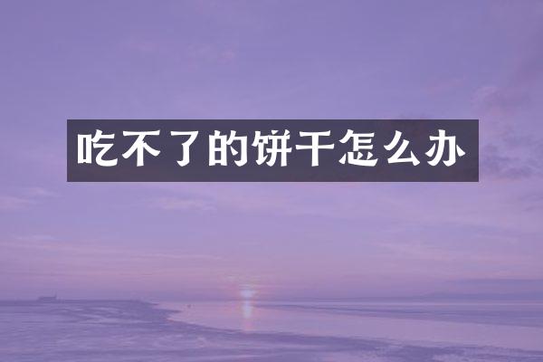 吃不了的饼干怎么办