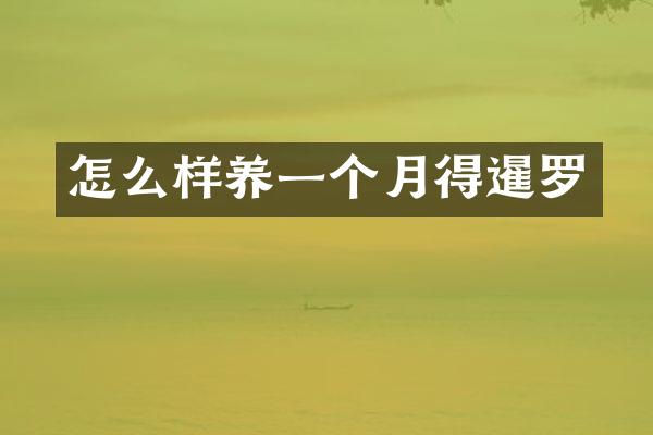 怎么样养一个月得暹罗