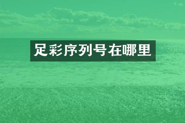 足彩序列号在哪里