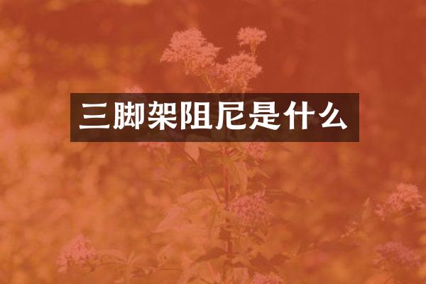 三脚架阻尼是什么