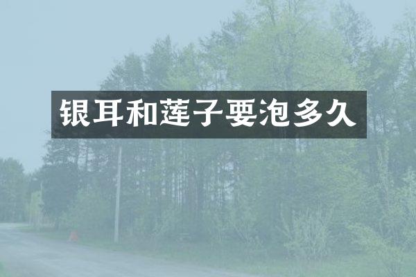 银耳和莲子要泡多久