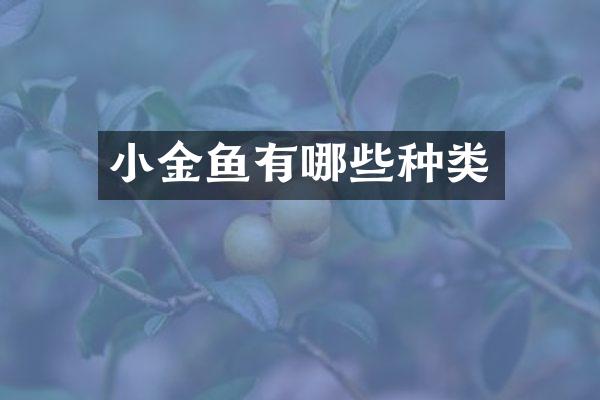 小金鱼有哪些种类