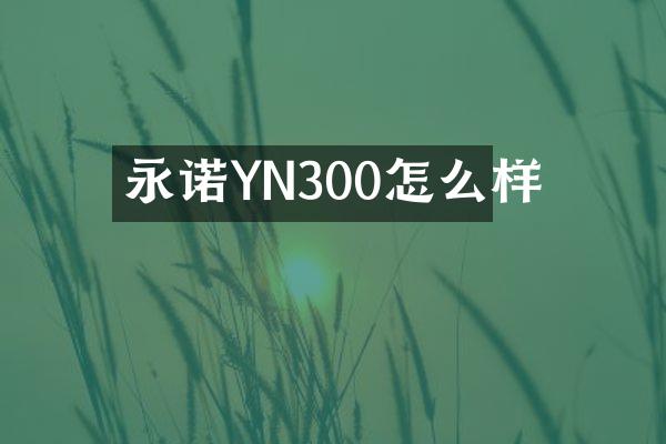 永诺YN300怎么样