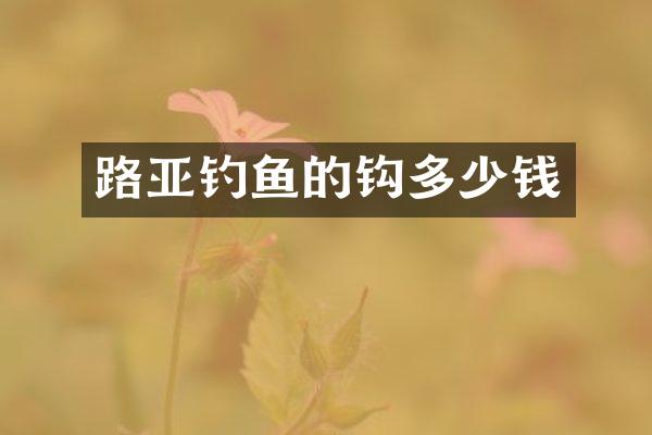 路亚钓鱼的钩多少钱