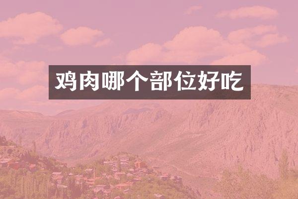 鸡肉哪个部位好吃