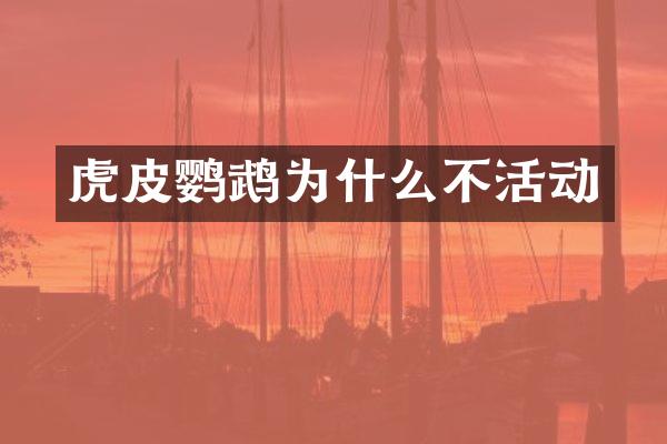 虎皮鹦鹉为什么不活动
