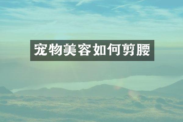 宠物美容如何剪腰