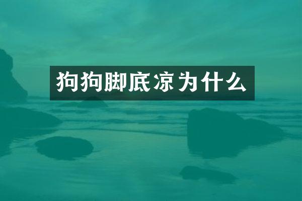 狗狗脚底凉为什么