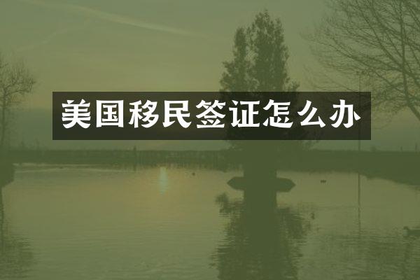 美国移民签证怎么办