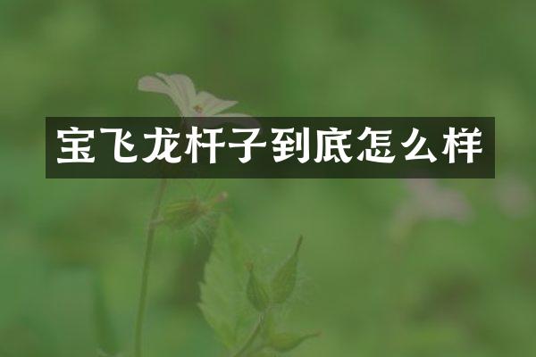 宝飞龙杆子到底怎么样