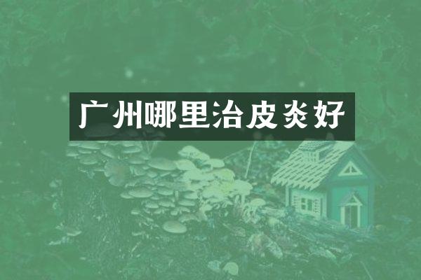 广州哪里治皮炎好