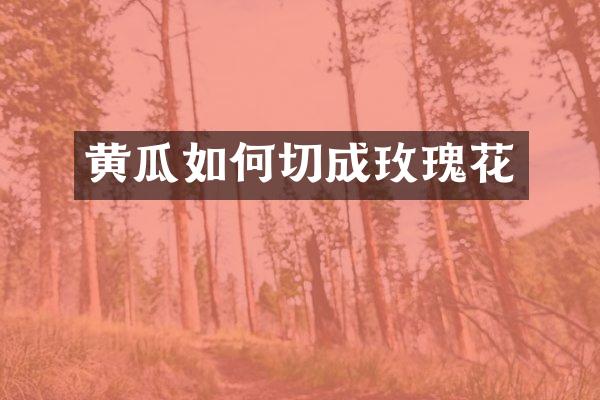 黄瓜如何切成玫瑰花