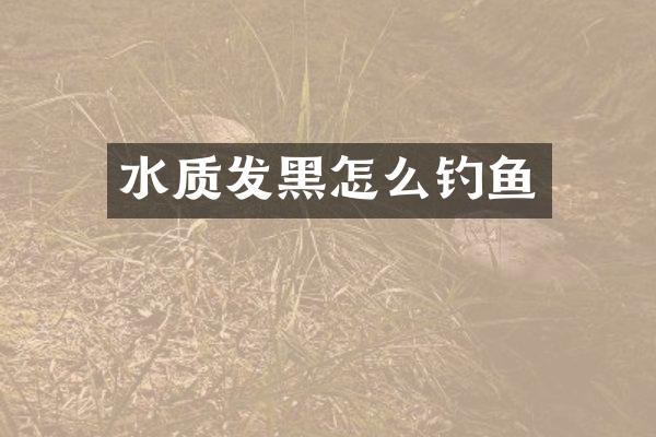 水质发黑怎么钓鱼