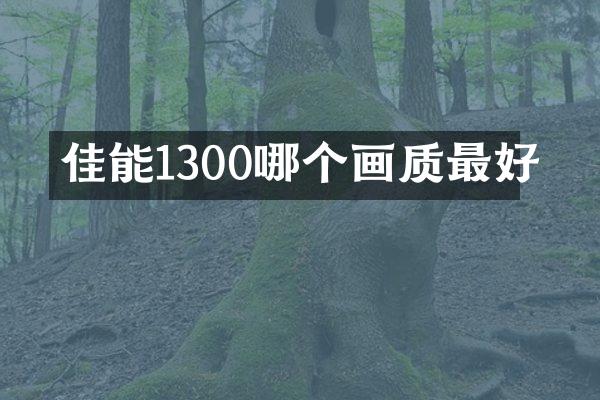 佳能1300哪个画质最好