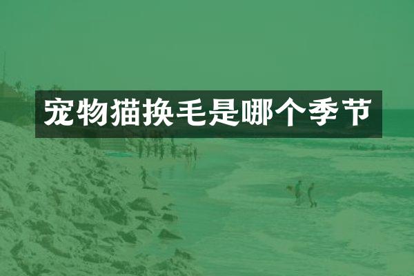宠物猫换毛是哪个季节
