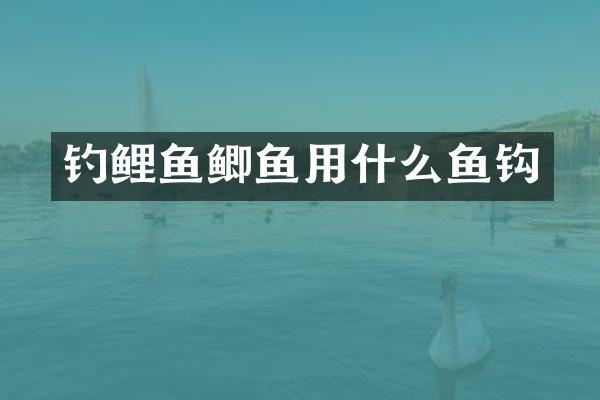 钓鲤鱼鲫鱼用什么鱼钩