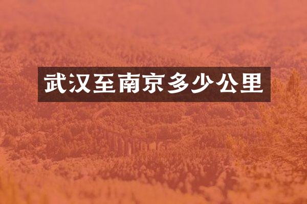 武汉至南京多少公里