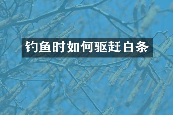 钓鱼时如何驱赶白条