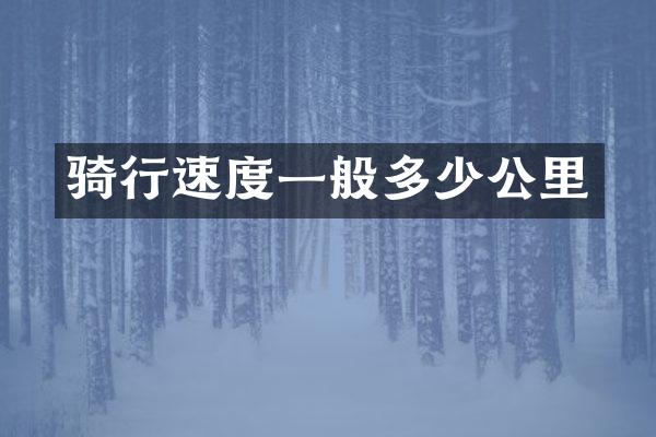 骑行速度一般多少公里