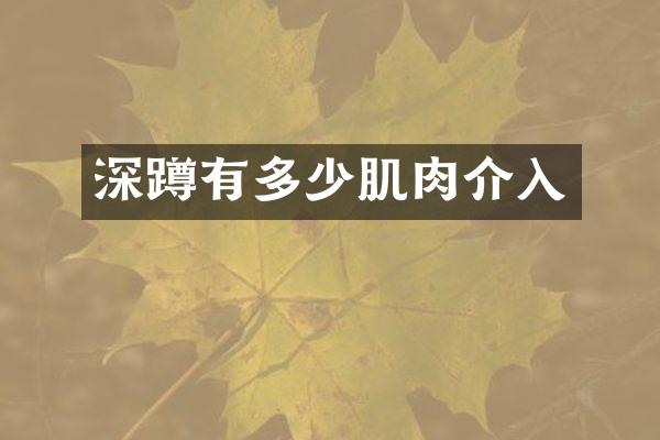 深蹲有多少肌肉介入