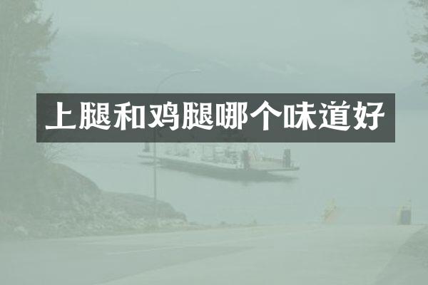 上腿和鸡腿哪个味道好