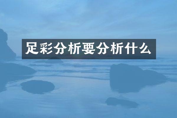 分析要分析什么
