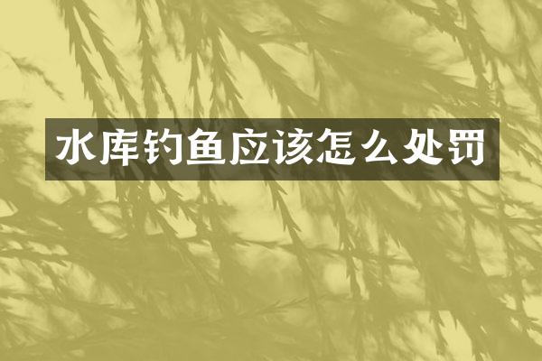 水库钓鱼应该怎么处罚