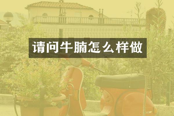 请问牛腩怎么样做