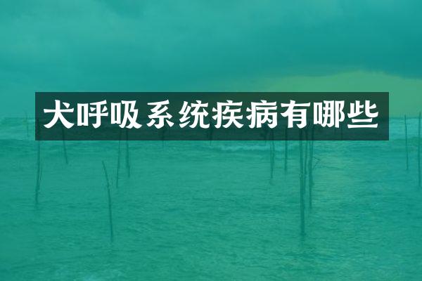 犬呼吸系统疾病有哪些