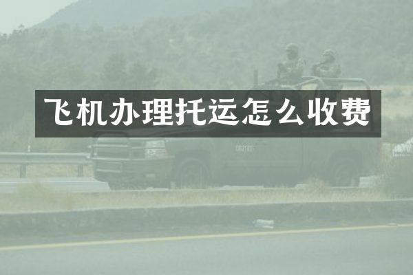 飞机办理托运怎么收费