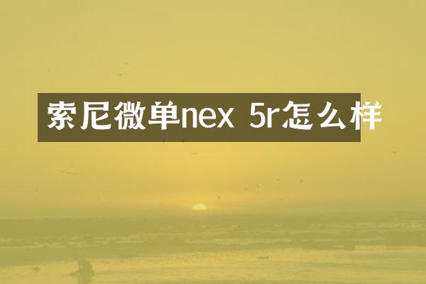索尼微单nex 5r怎么样