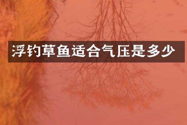 浮钓草鱼适合气压是多少