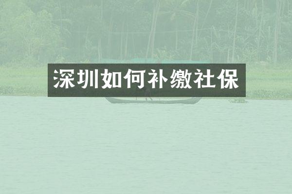 深圳如何补缴社保
